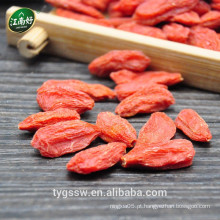 Bagas de goji secas jiangnanhao Goji benefícios de goji berry crescendo goji berries